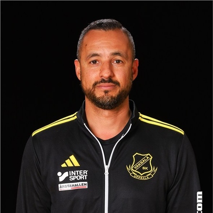 Hassan Abou-Soultan