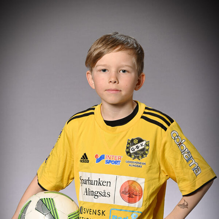 Hugo Lind Laas