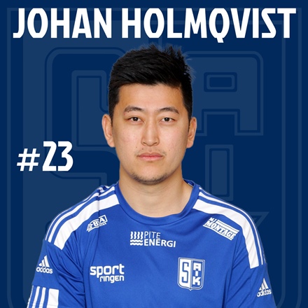 Johan Holmqvist