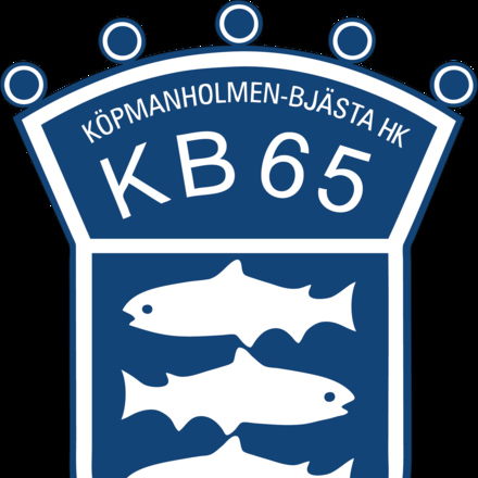 KB65 Styrelse