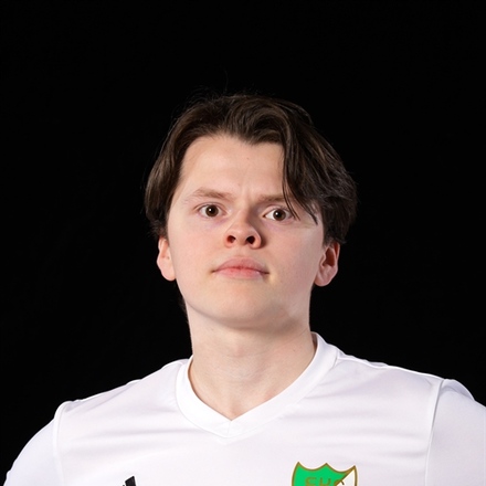 Theodor Magnusson