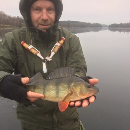 niclas björk