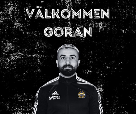 Goran Shemdin
