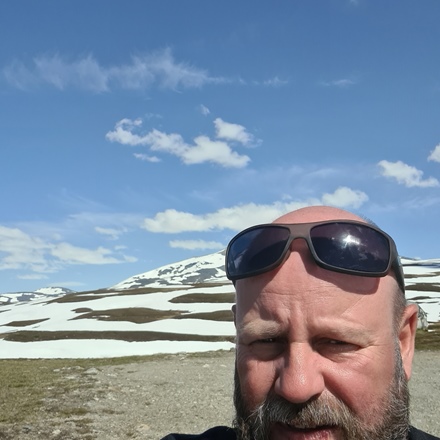 Henrik Karle